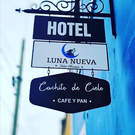 Luna Nueva Hotel-Boutique 梅里达 外观 照片