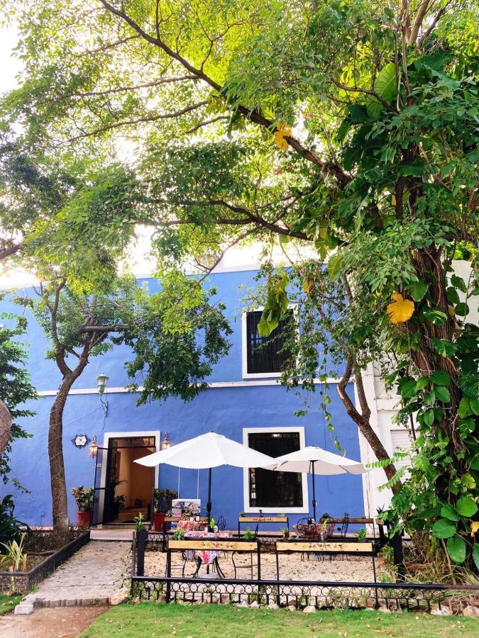 Luna Nueva Hotel-Boutique 梅里达 外观 照片